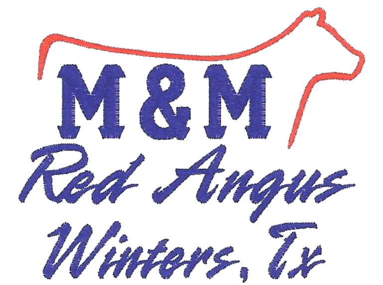 Events Stick Horses and Capes